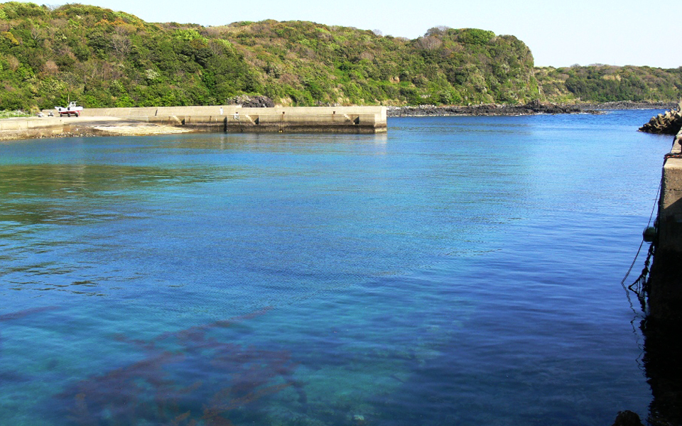 壱岐の島の船場荘で出来る船釣り体験